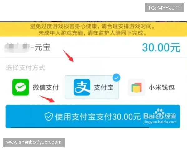 球王会中国官网充值支付方式及安全保障措施详解