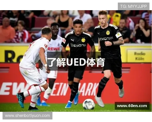 UED体育在线观看全攻略，帮助用户轻松找到稳定高清的体育赛事直播资源